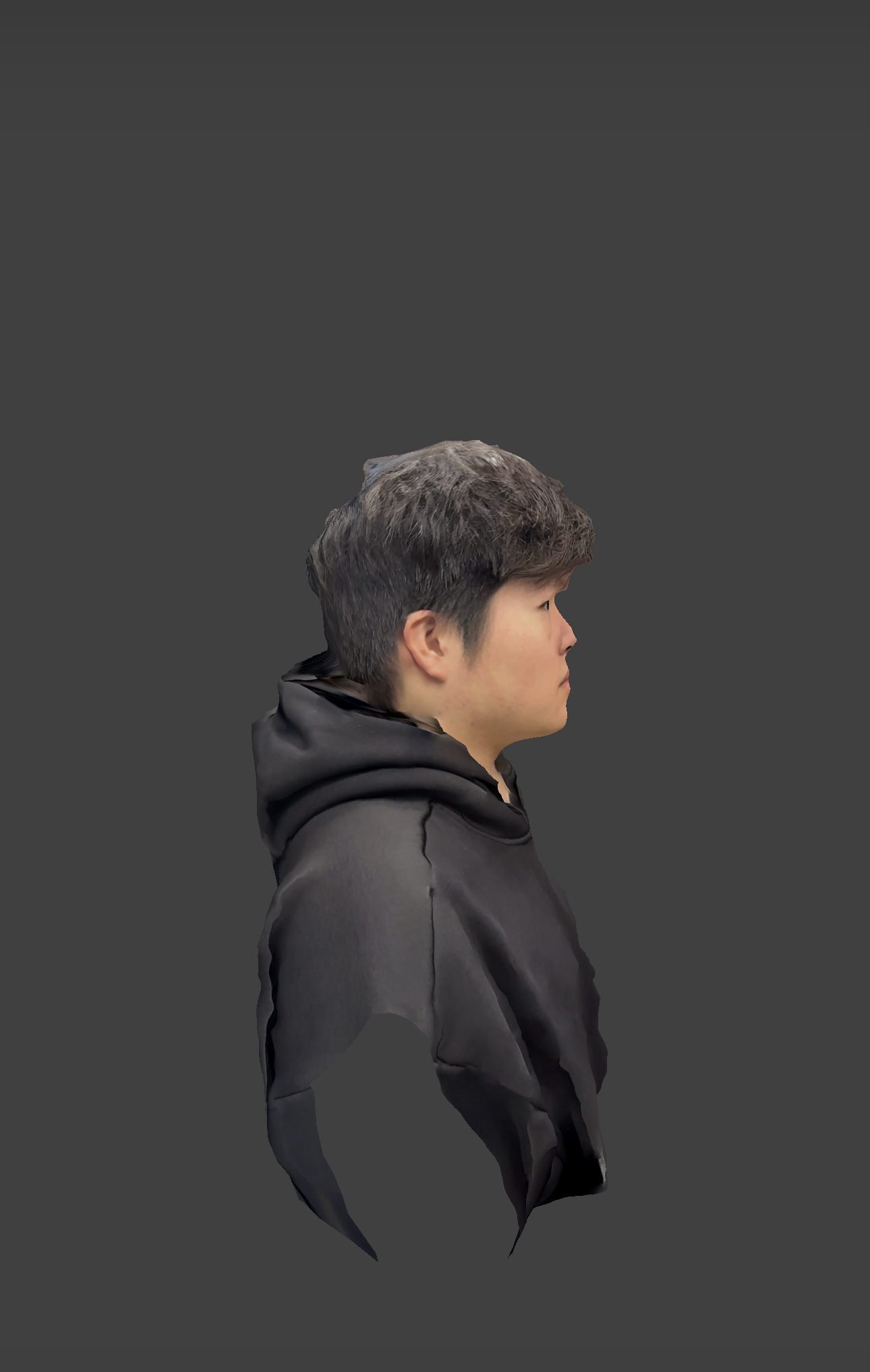 Display of the 3D scan of the figure